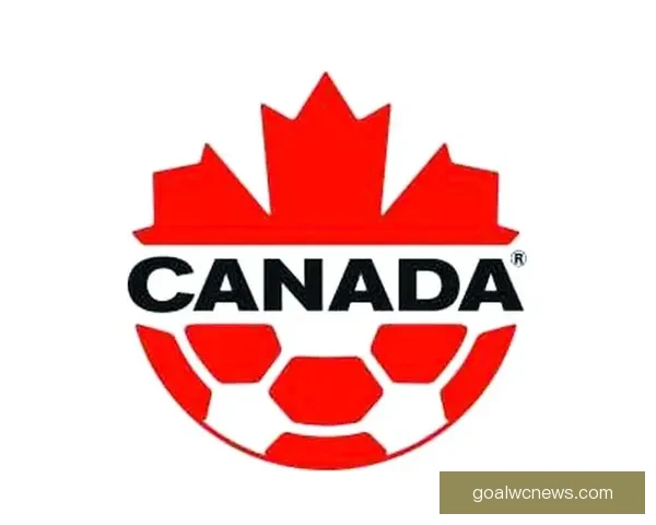 2026年世界杯将在三国举办 美国 加拿大 墨西哥联合承办盛会