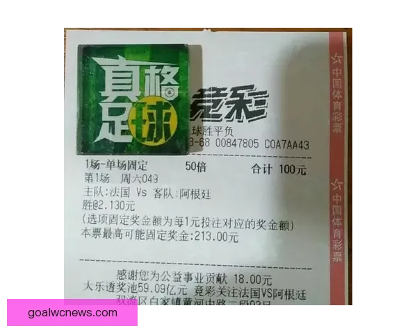 世界杯竞猜网站全攻略新手入门投注技巧与赛事预测深度解析指南
